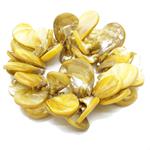 pulsera elástica nácar 