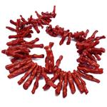 El Coral Red fringed fringe wire to climb